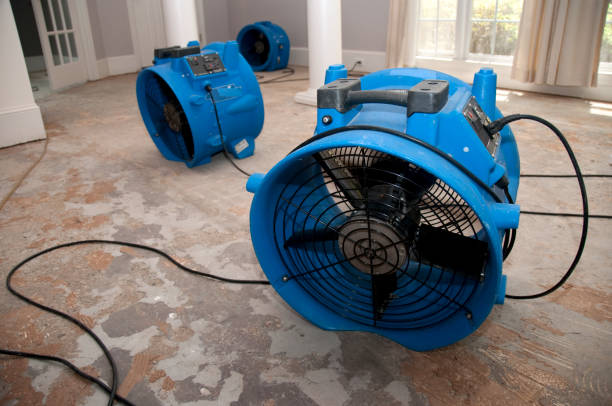 Trusted Water Damage Restoration in Mcgaheysville, VA | Fast, Reliable, and Ready to Assist You