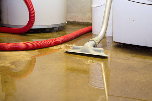 Professional Water damage restoration in Mcgaheysville, VA